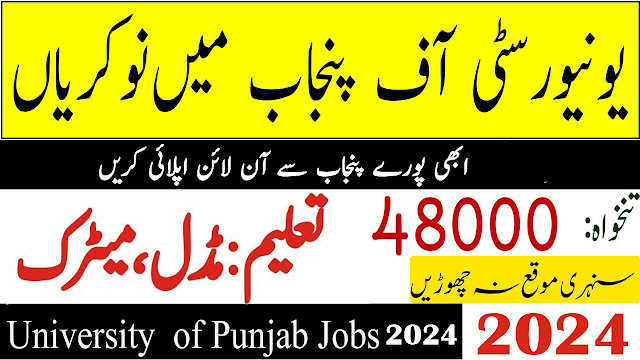 University Of The Punjab PU Lahore Government Jobs 2024