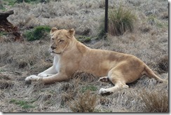 IMG_5886 IMG_5886