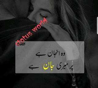 Love urdu poetry