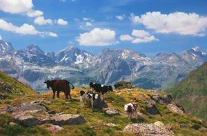 britannica pyrenees