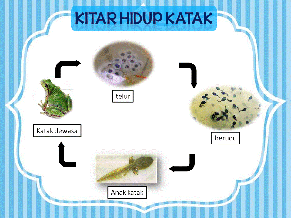 Dunia Sains dan Teknologi (Belajar dengan Ceria): DST 