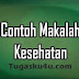 Makalah Kesehatan Masyarakat