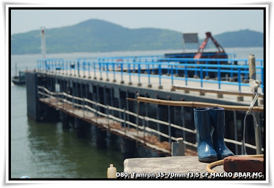 坪洲 (Peng Chau)