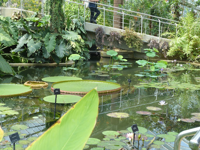 serres Kew Gardens Londres