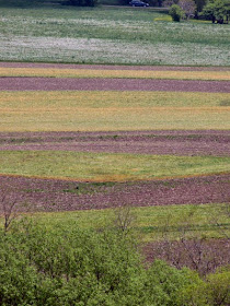 stripes of plowed land on hillside