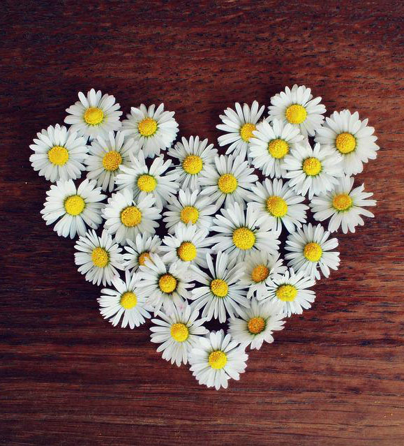 flower heart images download
