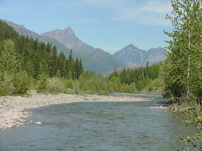 fish creek campground glacier national park mt. Glacier National Park Camping