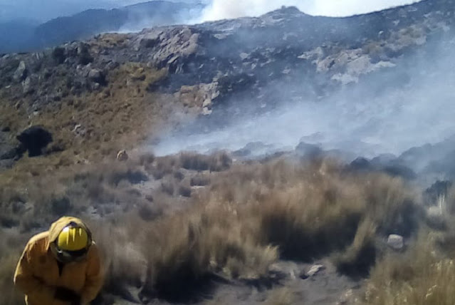 Informa Semarnat sobre incendio forestal en el volcán Iztaccíhuatl, registrado ayer en el estado de México