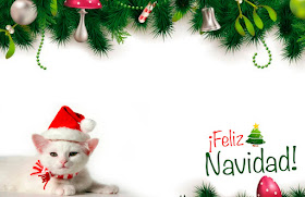 Tarjeta de Navidad de Perros y Gatos