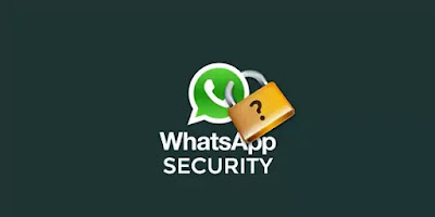 whatsapp, security, whatsapp web, gb whatsapp, whatsapp app, yo whatsapp