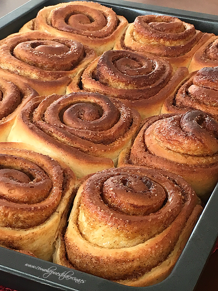 RECETA-PASO-A-PASO-CINNAMON-ROLLS-THERMOMIX