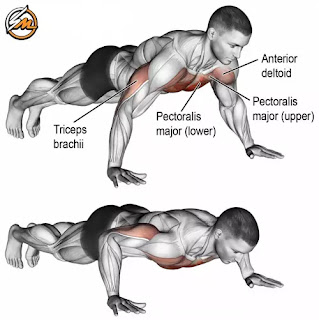 Chest and Tricep Bodyweight Workout