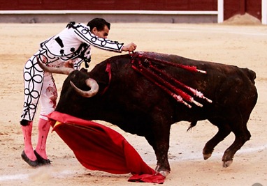 Toros