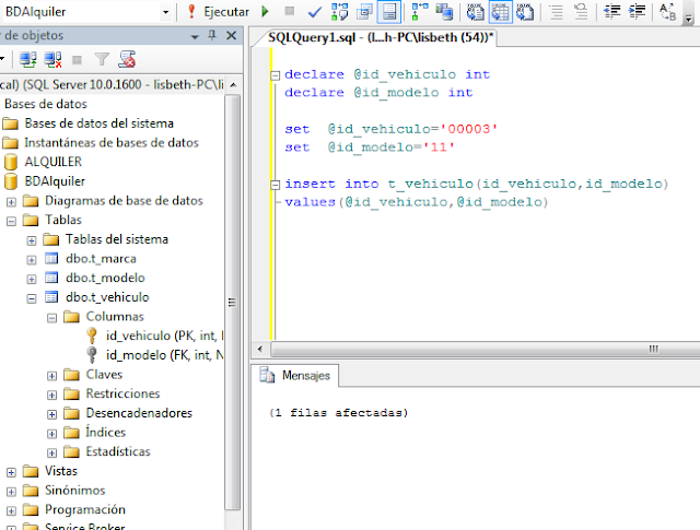 Insertando Datos en la Tabla vehiculo