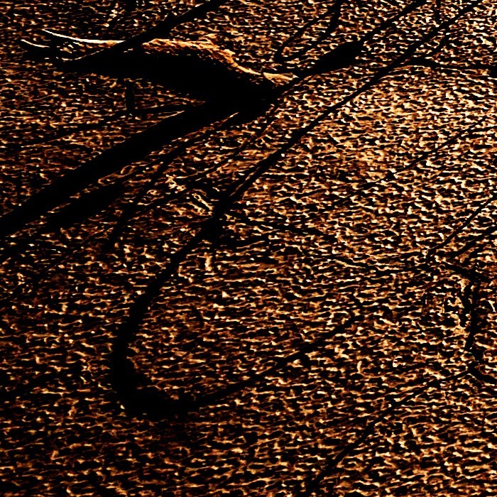 _N5F3637_crop_sx_giù
