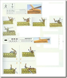 50952497_p37