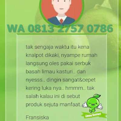 √ Gambar Limau Kasturi ⭐ Bisnis MLM Baru ✅ Bisnis Online