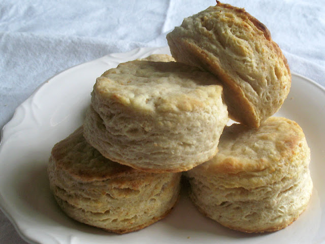 goat cheese biscuits