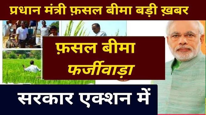 311 किसानों से होगी फसल बीमा फर्जीवाड़े की रिकवरी Crop insurance fraud will be recovered from 311 farmers