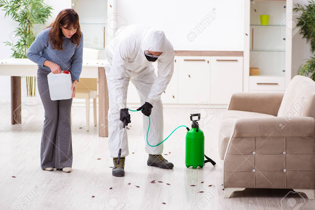 bed-bugs-treatment-in-sydney