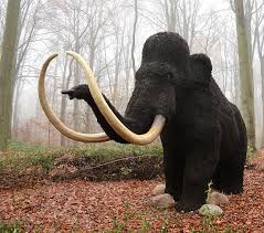 The 10 most beautiful extinct animals