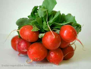 benefits_of_eating_radishes_fruits-vegetables-benefits.blogspot.com(benefits_of_eating_radishes_10)