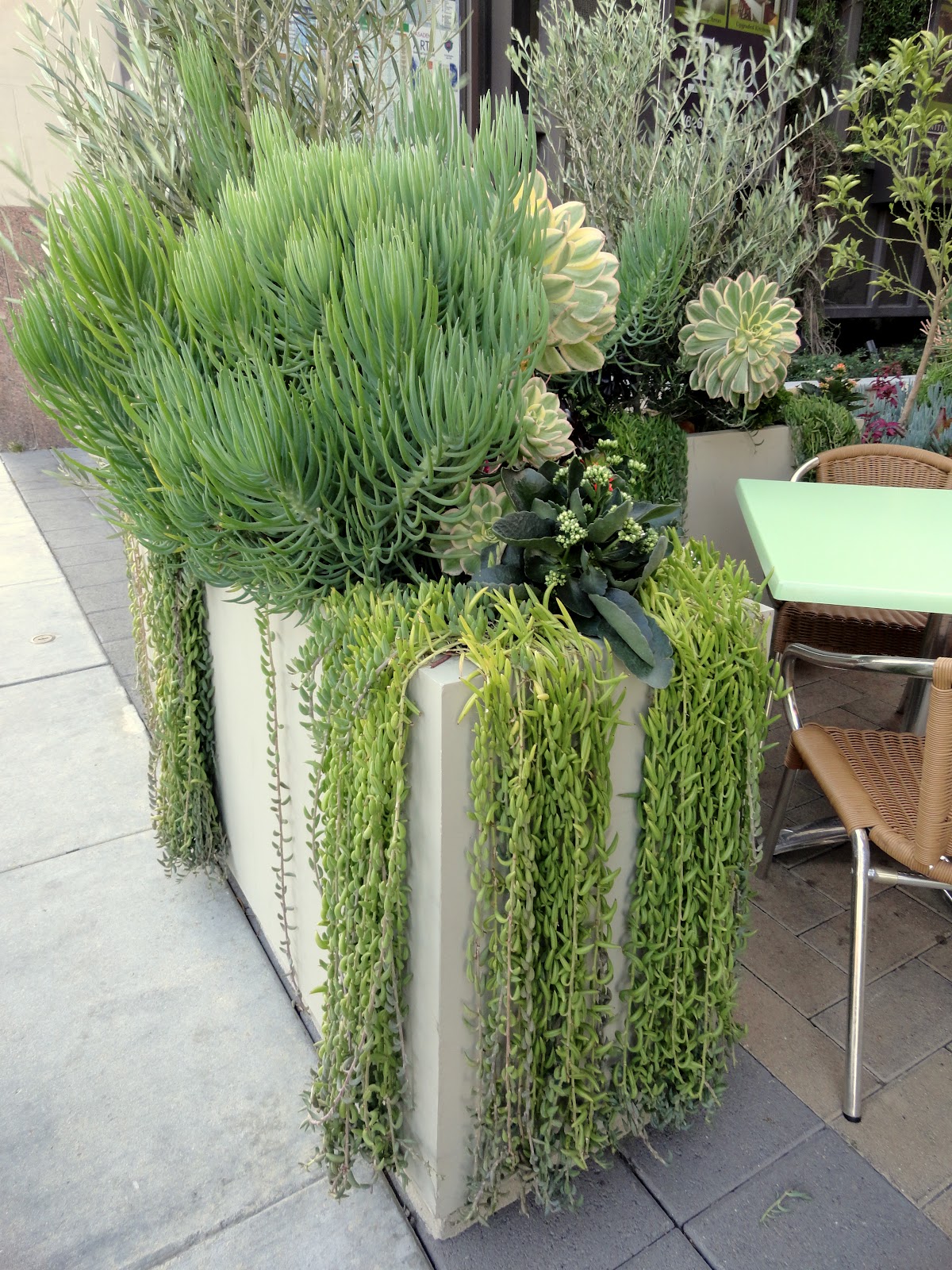 Landscape Design Pasadena Ca