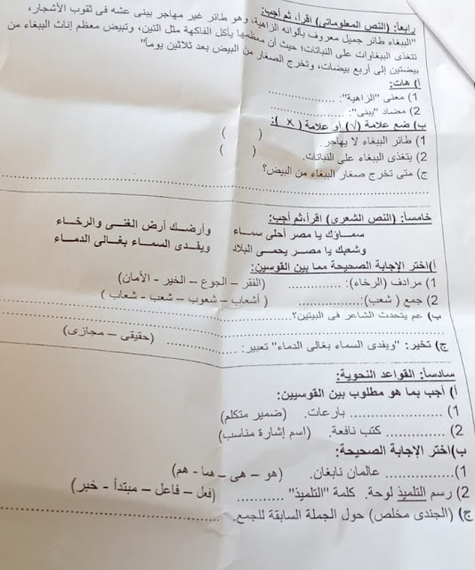 تجميع الإمتحانات الفعلية لغة عربية للصف الرابع الإبتدائي ترم أول2024 من كل المحافظات 415133808_767740092054698_4420588696966494003_n