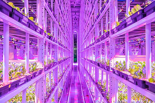 Vertical farms using 95% less water but 175kWh more energy to grow foods.