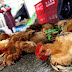  တ႐ုတ္ႏုိင္ငံတြင္ H7N9 ၾကက္ငွက္တုပ္ေကြး ေရာဂါပုိး ဆုိး၀ါးစြာကူးစက္ပ်ံ႕ႏွံ႕မႈႏွင့္ ရင္ဆုိင္ေနရ