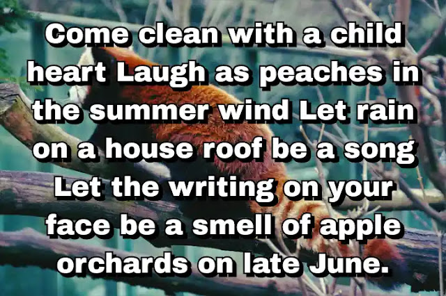 "Come clean with a child heart Laugh as peaches in the summer wind Let rain on a house roof be a song Let the writing on your face be a smell of apple orchards on late June." ~ Carl Sandburg