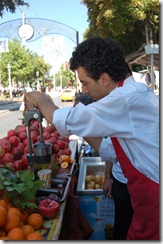 Turkia 2009 - Estambul - Plaza del Sultanahmed -  221