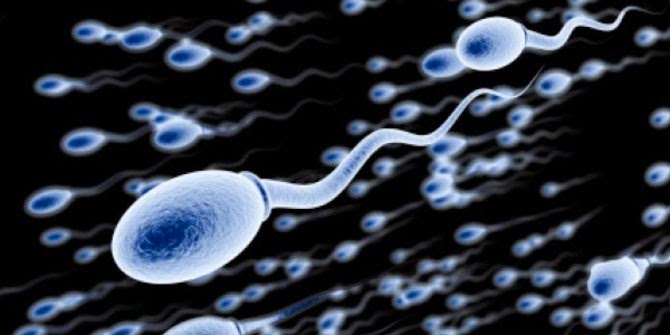 Kualitas Sperma Buruk Dapat Pengaruhi Kesehatan Tubuh