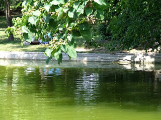 Champ de Mars, Montpellier