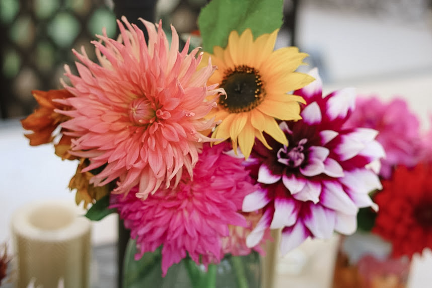 flower-farm-sunny-dell-dahlias-gardening-growing