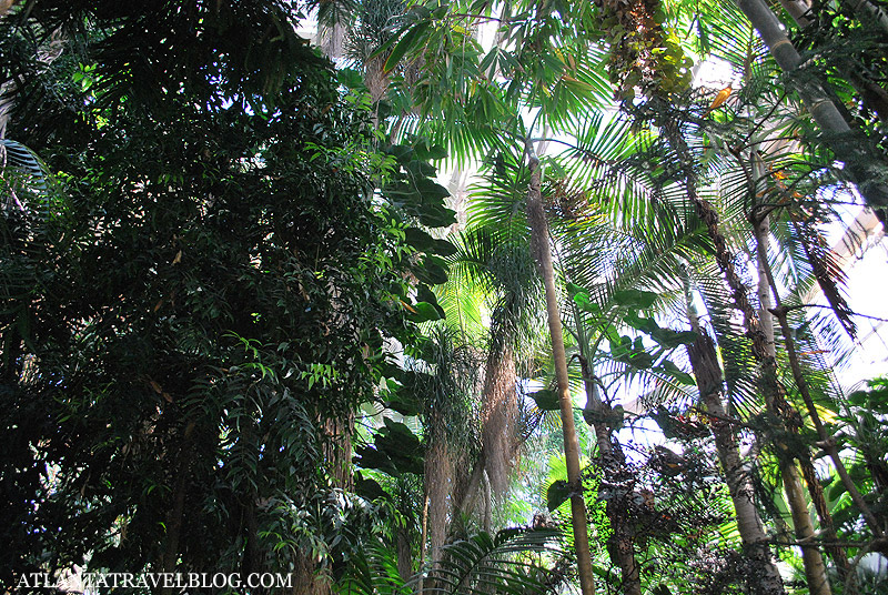 tropical botanical garden