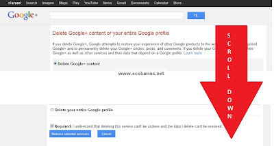 how to delete google plus account