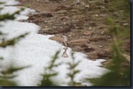 IMG_8757 IMG_8757