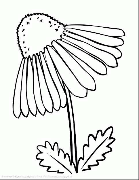 Terrific Purple Flowers Coloring Pages With Coloring Page Maker And Coloring  Page Maker From Picture
