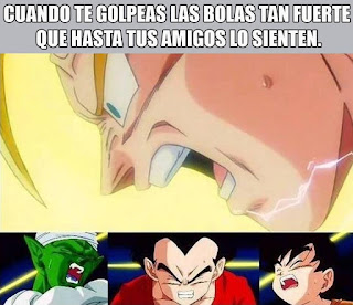 MEMES GRACIOSOS DE DBZ