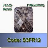 S3FR12 copy