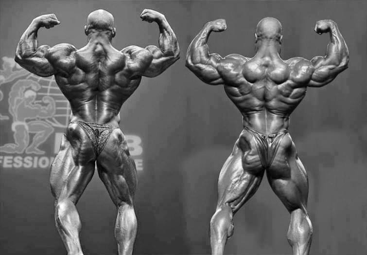 7 Mandatory Bodybuilding Poses For Competition - Body Building Craze