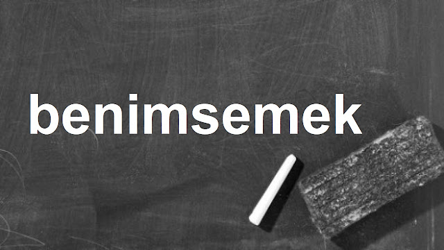 benimsemek