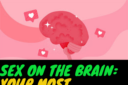 Sex On The Brain: Your Most Important Sex Organ