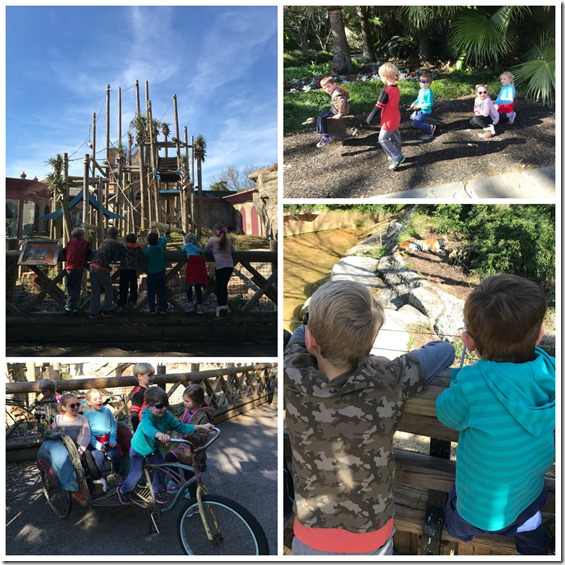 zoo1
