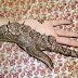 India Mehndi Patterns Images Book For Hand Dresses For Kids Images Flowers Arabic On Paper Balck And White Simple