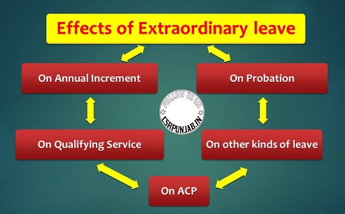 Effects of extraordinary leave on government service