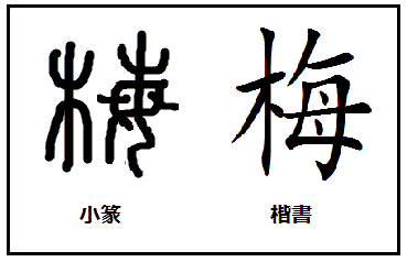 漢字考古学の道 漢字の由来と成り立ちから人間社会の歴史を遡る 漢字 梅 の起源と由来 木編に母を顕す 毎 の会意文字