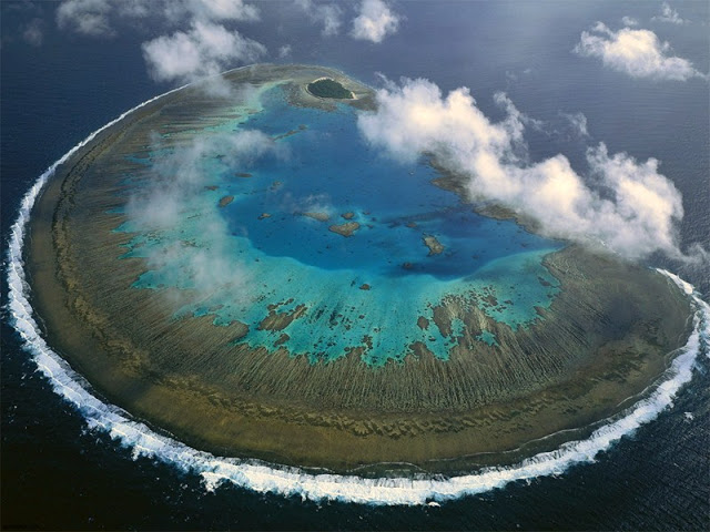 The Lady Musgrave Island