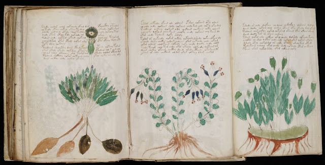 Using AI to uncover mysteries of the Voynich manuscript